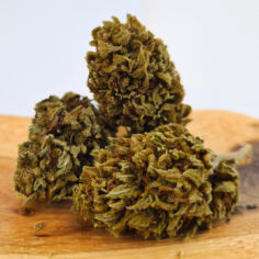 KomploPeach – Image 2