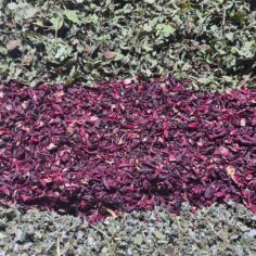 Tisane "Minceur" – Image 3